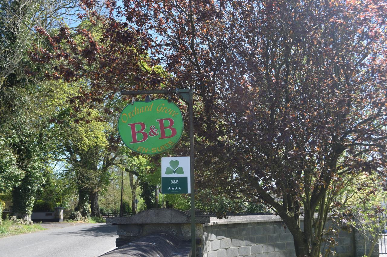 Orchard Grove Bed & Breakfast R21Rc58 Bagenalstown Exterior foto